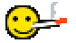 WEBK1NN webmaster sticker asset.