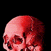 WEBK1NN webmaster sticker asset.